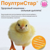 ПоултриСтар СОЛ, 600 гр