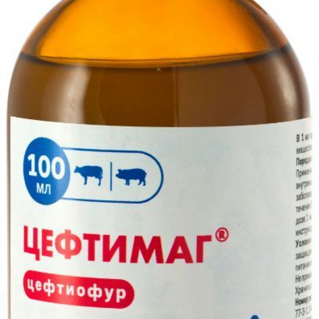 Цефтимаг 10%, суспензия для инъекций, 100 мл