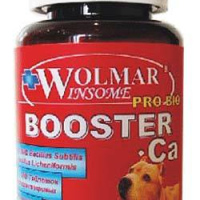 Wolmar Winsome Pro Bio Booster Ca MINI, таблетки, №180