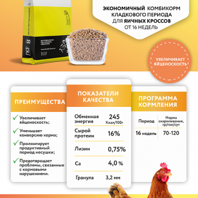 Комбикорм для несушек Кладка (от 16 недель) Глазовский КЗ 25 кг